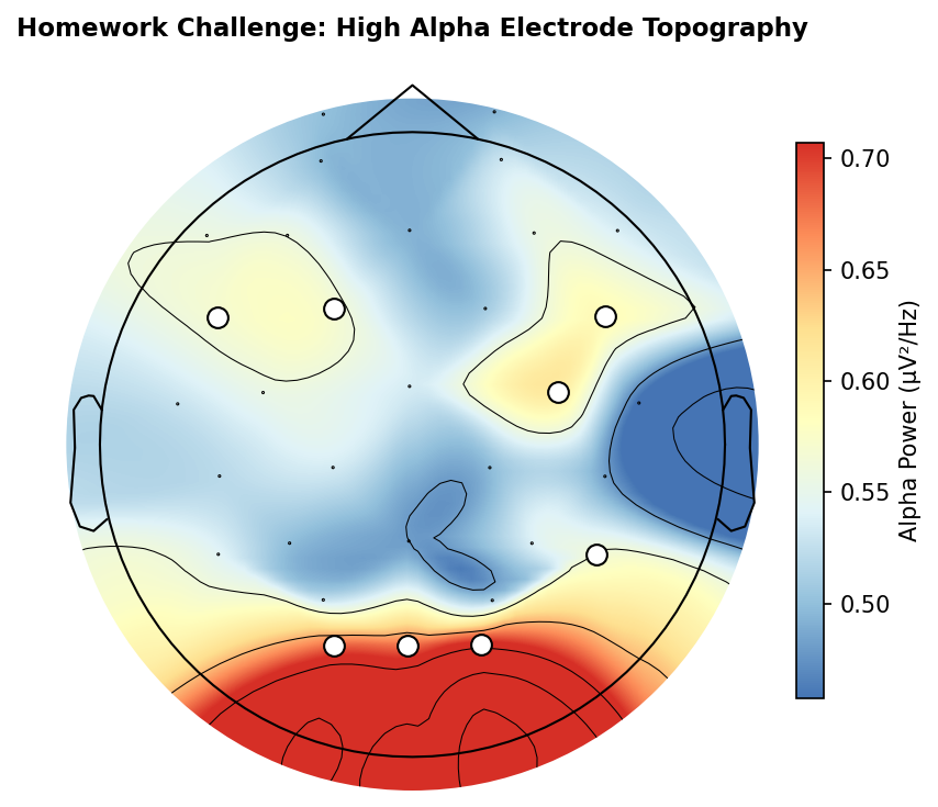 Homework High Alpha Electrode Topography