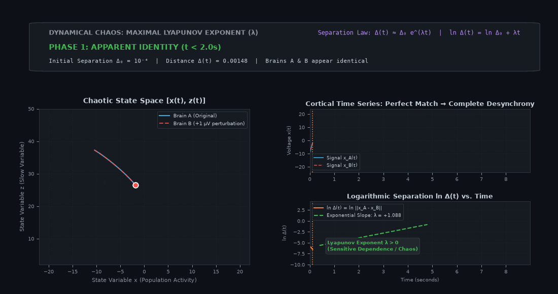 /haveyoumetrahul/blog/neuroscience/brain-criticality/lyapunov_divergence.gif